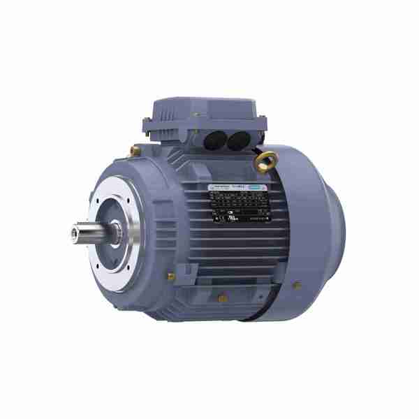 Marathon 2.2 Kw General Purpose Low Voltage Iec Motor, 3 Phase, 1200 Rpm, R623 R623